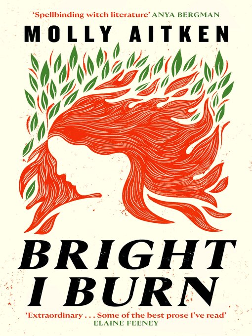 Title details for Bright I Burn by Molly Aitken - Available